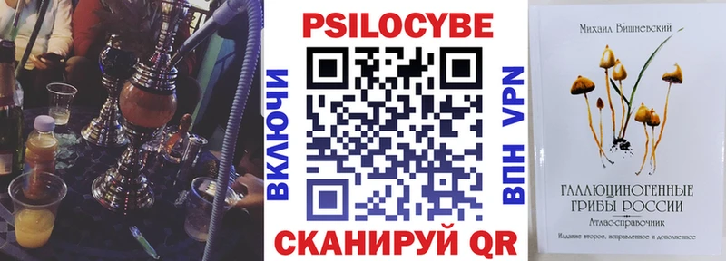 где можно купить наркотик  Короча  Псилоцибиновые грибы GOLDEN TEACHER 